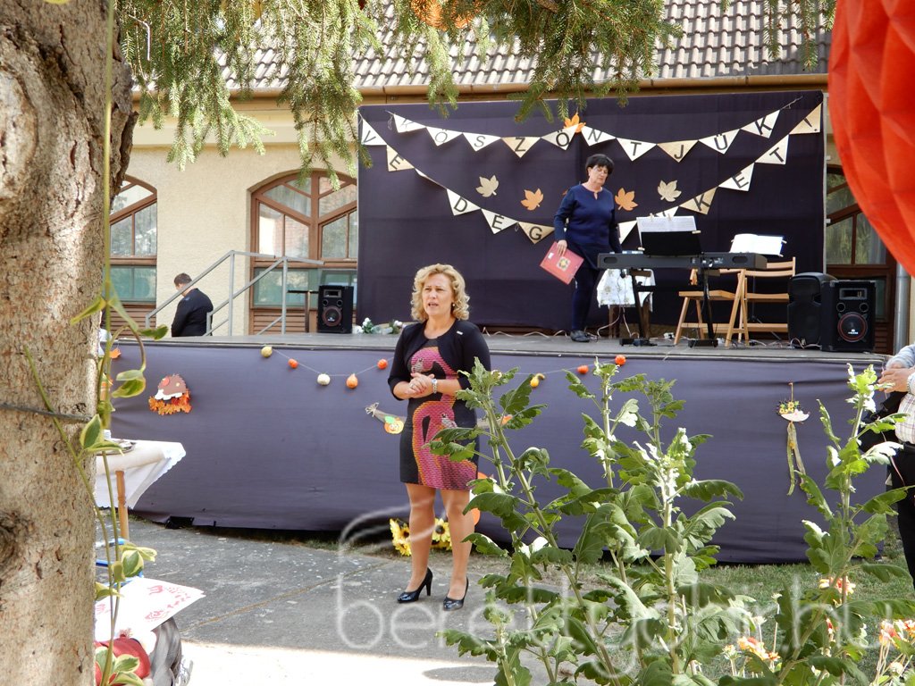 Családi nap a Fényes-házban 01